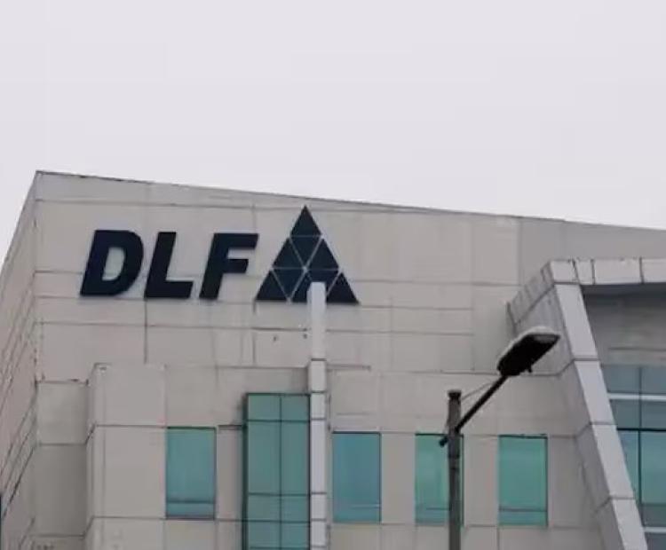 DLF