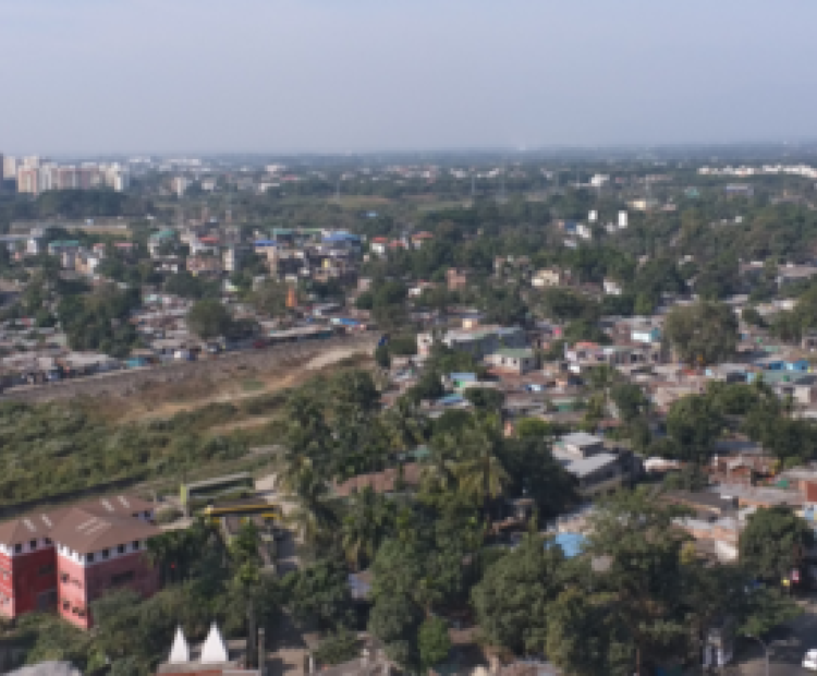 Siliguri's biodiversity: a model for urban ecology and sustainable development The Times of India