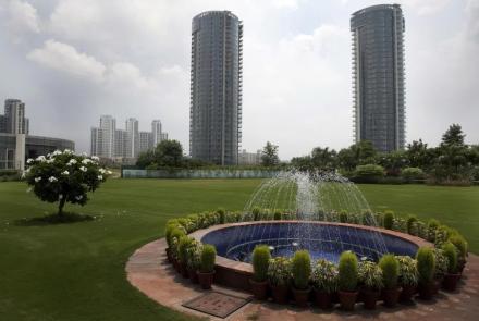 DLF