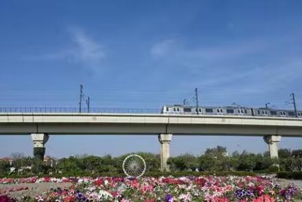 UP cabinet nod for 11.56km Metro link from Botanical Garden to Noida’s Sector 142 Hindustan Times
